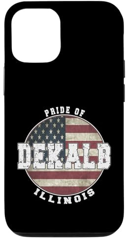 Hülle für iPhone 12/12 Pro Dekalb Illinois Vintage Amerikanische Flagge