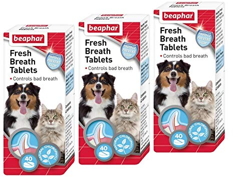 Beaphar Fresh Breath 40 Tablets (Pack of 3)