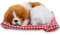 Zerodis Plüsch Hundespielzeug Kinder Schöne Stofftiere Simulation Tier Puppe Plüsch Schlafende Hunde Mit Ton für Kinder(Gelb-Weiß)