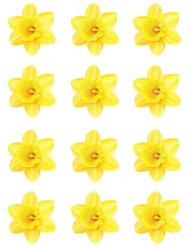 12 x PRECUT DAFFODIL EDIBLE WAFER CUPCAKE TOPPERS CAKE DECORATION