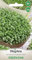 WegAna Semi di crescione da giardino 20g, Semi di germoglio, Semi di ortaggi robusti, Semi di ortaggi, Propagazione di semi, Semi per serra
