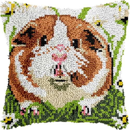 Kitquiver Diy Kit Crochet Principiantes Kits De Ganchillo Para Hacer Almohadones Con Patrón Preimpreso, Alfombras Y Cojines Con Gancho De Pestillo 17x17in