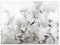 timalo Küchenbild aus Acrylglas modernes Wandbild Glasbild Deko Küche XXL Bild wie Glas | 80x60cm Pusteblume Löwenzahn, schwarz-weiß, filigrane Samen