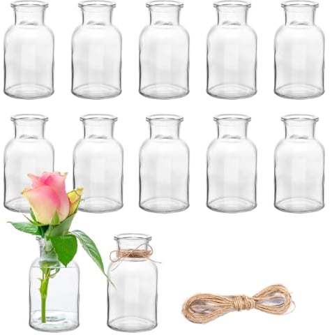 12 Stück Mini Glasvasen, 125ml kleine Väschen mit Juteschnur, Blumenvasen Tischvasen Glasvasen Dekoflaschen Glasflaschen, Glasfläschchen für Tischdeko Mittelstücke, Hochzeitsdekorationen