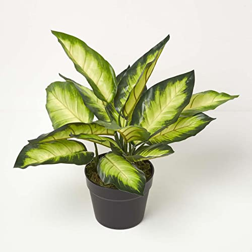 HOMESCAPES 50 cm Tall Artificial Dumb Cane Plant in Pot Faux Dieffenbachia Tree in Black Pot with Real Touch Leaves for Indoor Decoration