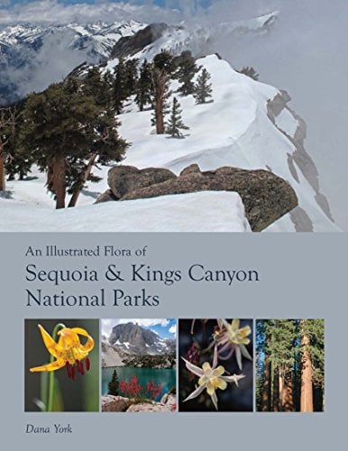 An Illustrated Flora of Sequoia & Kings Canyon National Parks: And Adjacent Southern Sierra Nevada (eBook--May 2025 Version) (Note: Does not work on Basic Kindle Devices) (English Edition)