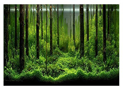 Aquarium Poster, Haofy Aquarium Hintergrund Dekoration mit Wald Muster, 3D PVC Selbstklebende Aquarium Tapete Aufkleber für Aquarium Dekoration, Unterwasser Aufkleber für Aquarien (61 * 41cm)