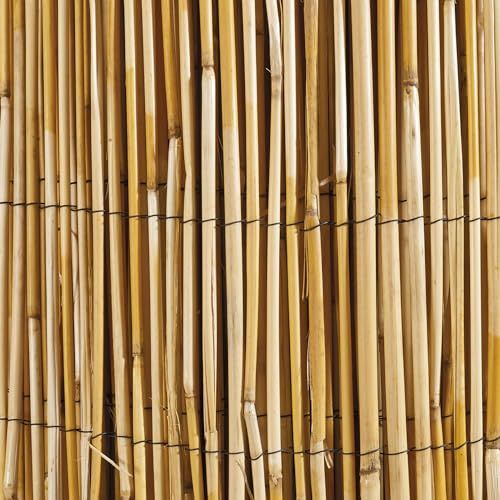 WERKA PRO Canisse en Roseau Naturel 1 x 10 m