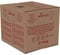 Apiinvert Südzucker Bienenfutter 16 kg Karton