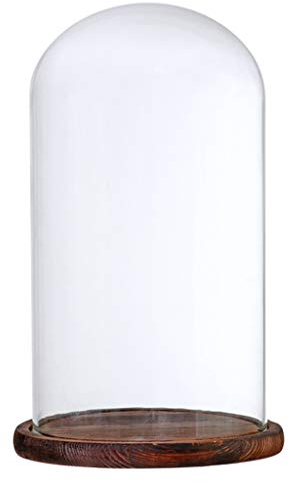 perfk Cupola di Vetro Vaso Forma di Campana di Vetro con Legno, Brown F