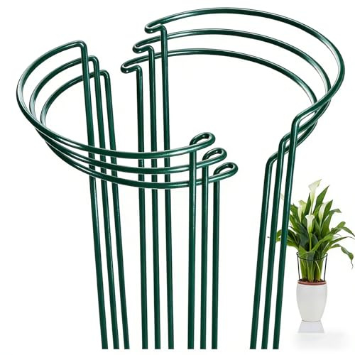 FEED GARDEN 6 Pack Plant Support Stakes, Metal Garden Plant Stake, Green Half Round Plant Support Rings for Potted Plants, Plant Cage for Tomato, Hydrangea(9.4 Wide x 15.6 High)