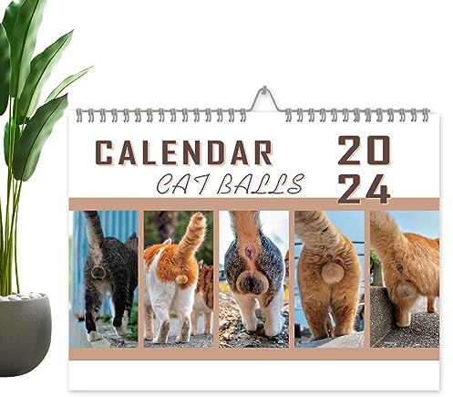 Cat Balls Kalender 2024 Funny Cat Butthole Kalender von Jan. 2024 - Dez. 2024 Cat Butt Wandkalender 2024 Katzenbälle Kalender Tagesplan Minimalistische Büros Wandkalender für einfache Planung