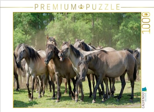 CALVENDO Puzzle Stutenherde im Merfelder Bruch | 1000 Teile Lege-Größe 64 x 48 cm Foto-Puzzle für glückliche Stunden
