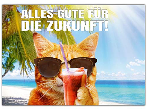 A4 XXL Abschiedskarte KATZE AM STRAND mit Umschlag - lustige Klappkarte für Kollegen zur Rente Pension Mutterschutz Ruhestand Karte von BREITENWERK