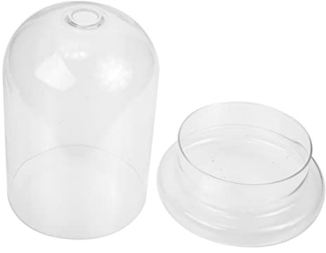 Warmhm Glasterrarium Landschaftsbehälter Pflanze Wachsende Flasche DIY Pflanzenbehälter Terrarienglasbehälter Ökologische Dekorative