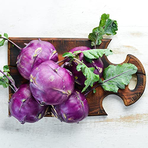 Kohlrabi Samen GemüSe Alte Sorten Bodendecker Winterhart MehrjäHrig Balkonpflanzen WintergemüSe Pflanzen Kaufen Exotische Pflanzen Bio Saatgut GemüSepflanzen Hochbeet Samen Frisch 50 Kohlrabi Saatgut