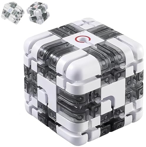 Large Labyrinth 3D Puzzles Maze Cube, Engaging Brain Teaser Toy for Kids & Adults, Spatial Awareness Brain Training Toy, Educational Focus Game Gift for Adults Teens (B)