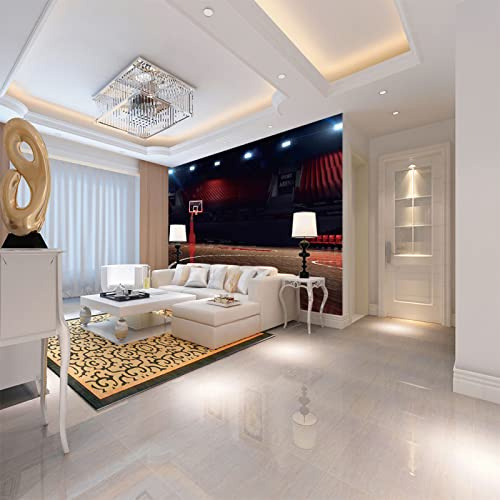 ZWYHYP Murals Wallpaper Basketball 3D Wall Photo Mural Wall Paper for Background Bedroom 3D Wall Murals 300cm×210cm