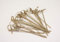 Eco Bambú Platos Cubiertos Tazas Pincho Pajillas Catering Comida Fiestas Eventos Barbacoa - Natural, 100 x Teppo twist top scewer 9cm
