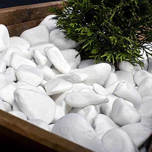 Decorative Stones Natural Marble Extra White PEBBLES 20-40mm Landscape Garden Home (10)