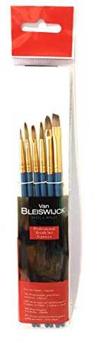 Van Bleiswijck Lot de 6 pinceaux professionnels de différentes tailles.