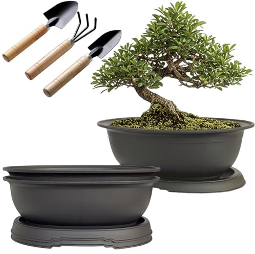 MUZHI 3 Pack Oval Bonsai Pot with Drainage Tray, Matte Finish Plastic Bonsai Growing Planters with Tools for Home Garden Plant Container (9.1 Large)