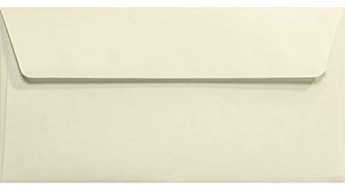 Netuno 100 Briefumschläge DIN Lang Ecru gerippt 11 x 22 cm 120g Aster Laid Ivory elegante Umschläge strukturiert Briefhüllen hochwertig für Grußkarten Einladungen Hochzeit Geburtstag Weihnachten