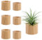 Set mit 6 Holz-Pflanzenhaltern, rustikaler Stil, Luftpflanzentöpfe, dekorative Luftpflanzenbehälter, Tischdekoration für Zuhause, Büro, Tischdekoration, Zubehör (Innendurchmesser 3 cm und 3,6 cm)