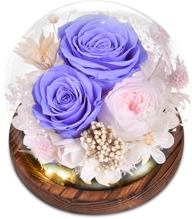 Beinhome Rosa Stabilizzata Vera Rose Eterne Fiori Fatto a Mano in Vetro con Luci LED Regali per Lei Donna Mamma Nonna Fidanzata, per San Valentino Festa della Mamma Compleanno Ringraziamento Natale