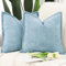 Madizz 2er Set Chenille Samt mit Rand Kissenbezüge Weiche Dekorativ Zierkissenbezüge Modern Kissenhülle für Sofa Wohnzimmer Schlafzimmer Hellblau 60x60 cm