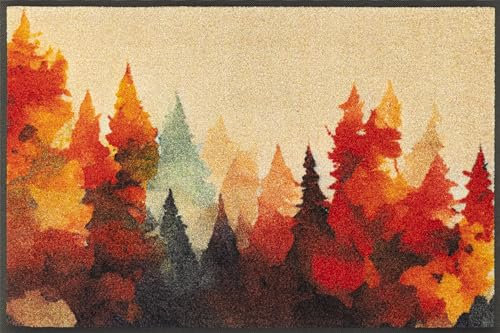 wash+dry Fußmatte, Golden Season 50x75cm, innen und außen, waschbar, bunt