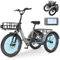 MOONCOOL Elektro-Dreirad für Erwachsene, Elektrofahrrad 250 W, herausnehmbarer Akku, 3 Räder Elektrofahrrad für Erwachsene (Schiefer Grau)