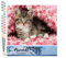 Figured'Art Malen Nach Zahlen Erwachsene Katze unter Decke - Paint by Numbers Basteln DIY Bastelset 40x50cm ohne Holzrahmen