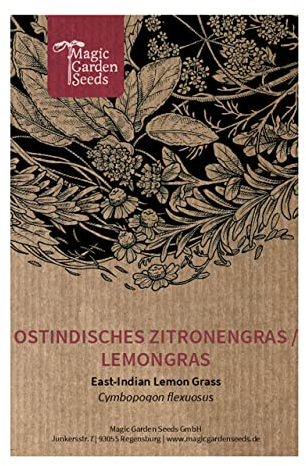 Ostindisches Zitronengras/Lemongras (Cymbopogon flexuosus) - ca. 250 Samen