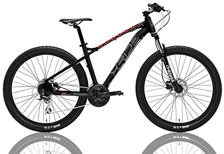 MTB Fahrrad 29 XFC mit hydraulischer Scheibenbremse 24 V schwarz matt (M)