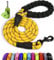 Taglory Hundeleine mit bequemen gepolsterten Griff, robuste Hundeleine zum Trainieren und Gassi gehen, 180×1.0cm Reflektierend Führleine aus weichem Nylon für mittelgroße Hunde, gelb