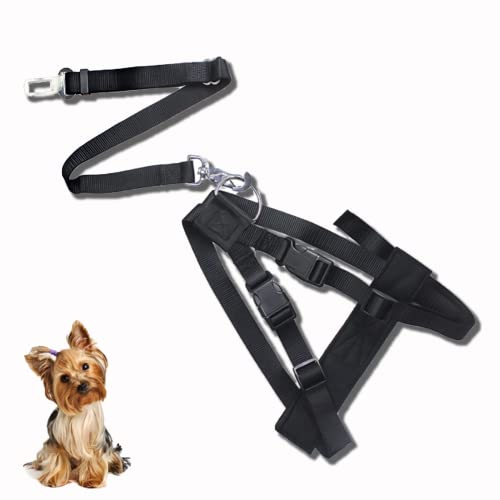 Eilin 2-in-1 Sicherheitsweste für Hunde, mit Verbindungsgurt, verstellbar, weich gepolstert, mit Reisegurt, Schwarz