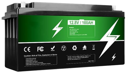 TGHY Batterie LiFePO4 12V 24V Batterie au Lithium Rechargeable 100Ah Panneau Protection BMS intégré Utilisation pour Le Camping en Plein air/Alimentation Secours/Chariot Golf,24v100ah