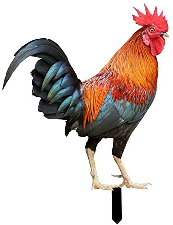 Hahn-Statue, Ornament, Gartenstecker, stehende Skulptur für Terrasse, Farbe A, Stil A