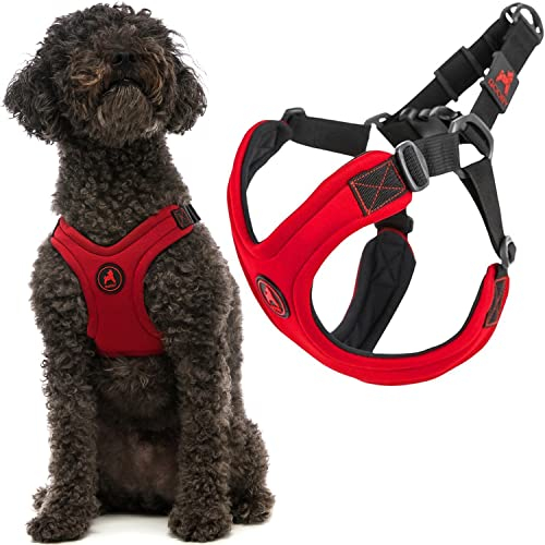 Gooby, Hundegeschirr Sportlich Groß Rot - Escape Free Sport Geschirr mit patentierter Neopren-Technologie, 4-Punkt-Einstellung, kein Würgen, perfekt für kleine Hunde, kein Ziehen