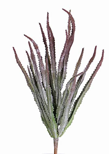 artplants.de Künstliche Sukkulente Euphorbia trigona Reese auf Steckstab, rot - grün, 30cm, Ø 20cm