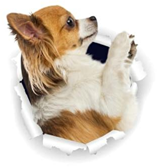 OGJFLT Auto Sticker Autoaufkleber Lustig Dog 2Pcs 15Cm 3D-Chihuahua-Hundeaufkleber Super Staffie-Aufkleber An Der Wand, Kühlschrank, Toilette, Auto, Fahrrad