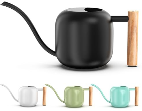 Green Moon Arrosoir d'intérieur noir 1,2 l avec long bec - Petit arrosoir en métal pour intérieur et intérieur - Bonsaï extérieur - Fleurs décoratives