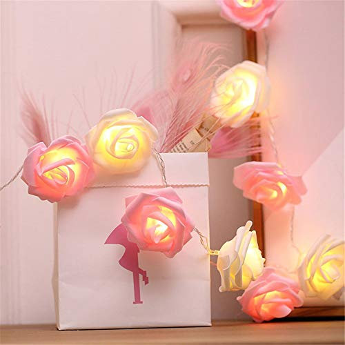 Fantasee Guirlande lumineuse à LED en forme de rose à piles pour mariage, Saint-Valentin, fête, anniversaire, festival, décoration intérieure ou extérieure (3M, 20 LED, rose + blanc)