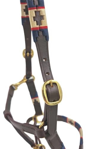 Tysons Breeches Lederhalfter Winny Polo Leder Halfter Minishetty Mini Shetty Minipony Schwarz Braun ZART ! (Shetty, Royal)