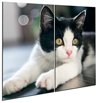semUp Lot de 2 Cache-plaques 2 x (30 x 52 cm) | Planches ? Découper | pour Les Plaques Chauffantes 2 Pi?Ces | Universel Lot de Deux Planches pour protéger Réchaud?: Verre, céramique, Induction