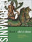 de Romanis Book 1: dei et deae (De Romanis, 1)