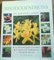Rhododendrons: A Step-by-step Handbook for Cultivation and Care (New Plant Library)