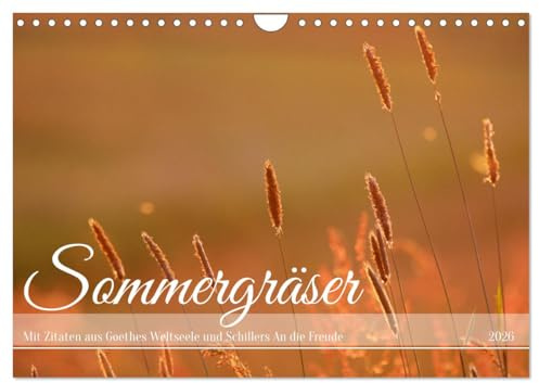 Sommergräser (Wandkalender 2026 DIN A4 quer), CALVENDO Monatskalender: Natur und Poesie im Einklang (CALVENDO Natur)