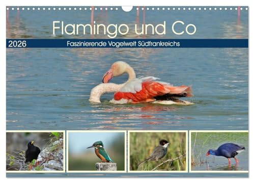 Flamingo und Co - Faszinierende Vogelwelt Südfrankreichs (Wandkalender 2026 DIN A3 quer), CALVENDO Monatskalender: Grandiose Vogelbilder aus Südfrankreich (CALVENDO Tiere)